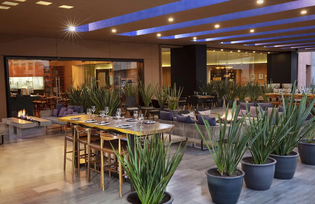 Hyatt Centric Campestre Leon-1
